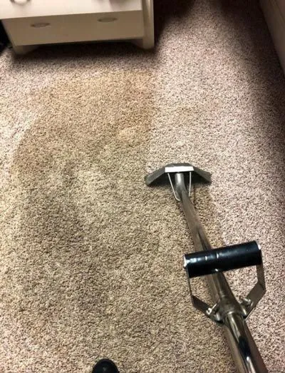 Carpet Cleaning Results